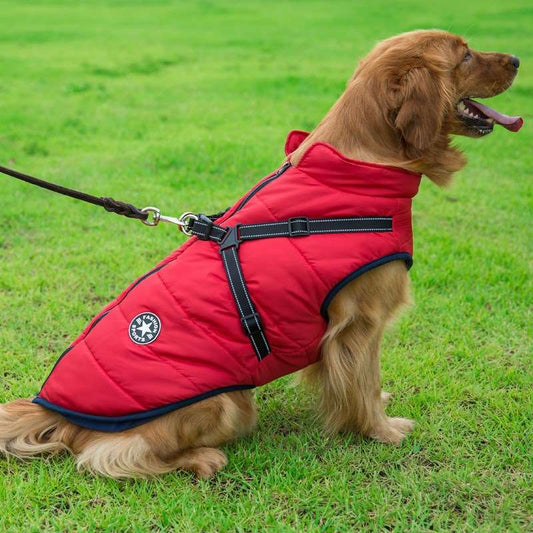 Dog Coat with Harness | Dog Winter Coat | Equinox Online Store