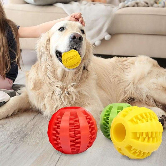 Pet Chewing Ball | Interactive Chewing Ball | Equinox Online Store